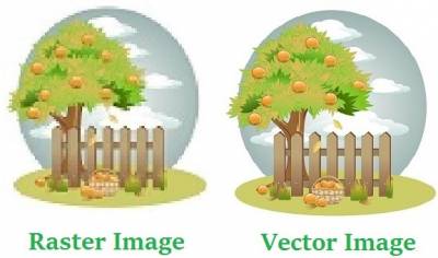 Raster to vector image